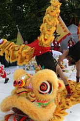Chinees Cultural Festival Kung Fu demo